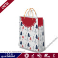 China Factory Cuztomized Print Christmas Gifts Bag Packaging Bag